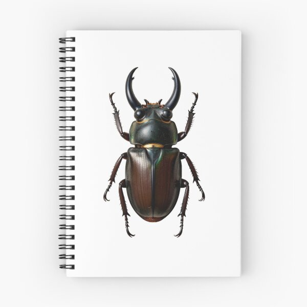 Item preview,  Stag Beetle — Vintage Entomology Specimen Art designed and sold by TheGraphicsLord.