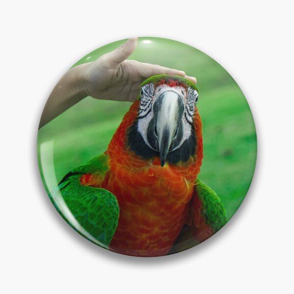 Item preview, Love Makes You Ruffle — Macaw and Friends designed and sold by Jomsunshine.