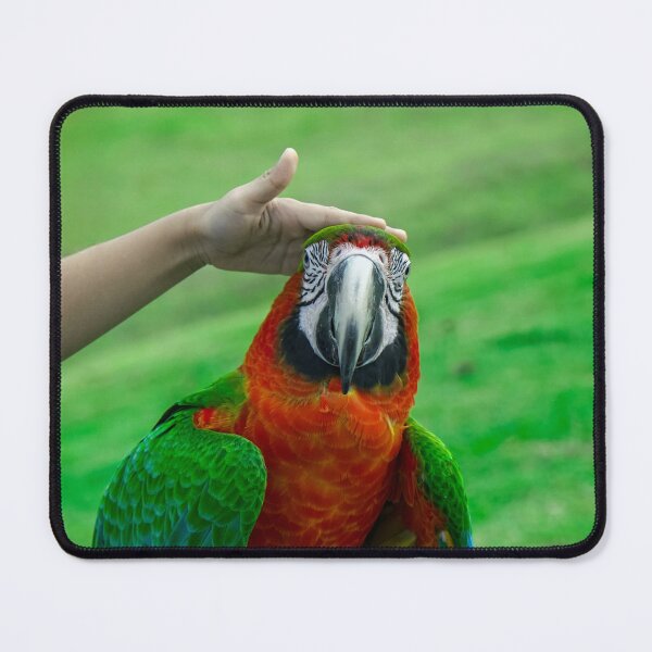 Item preview, Love Makes You Ruffle — Macaw and Friends designed and sold by Jomsunshine.