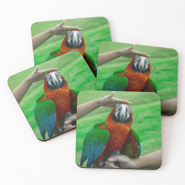 Item preview, Love Makes You Ruffle — Macaw and Friends designed and sold by Jomsunshine.