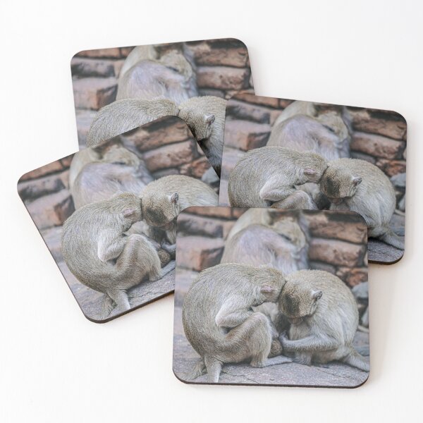 Item preview, The Dreamer of Lopburi — Sleeping Macaque designed and sold by Jomsunshine.