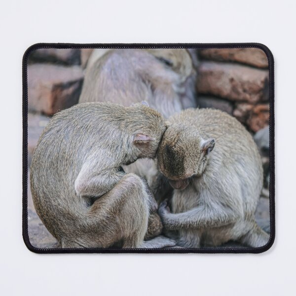 Item preview, The Dreamer of Lopburi — Sleeping Macaque designed and sold by Jomsunshine.