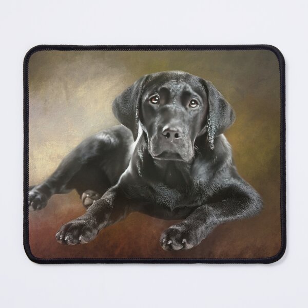 Item preview, Handsome Black Lab designed and sold by Elisabeth Lucas.