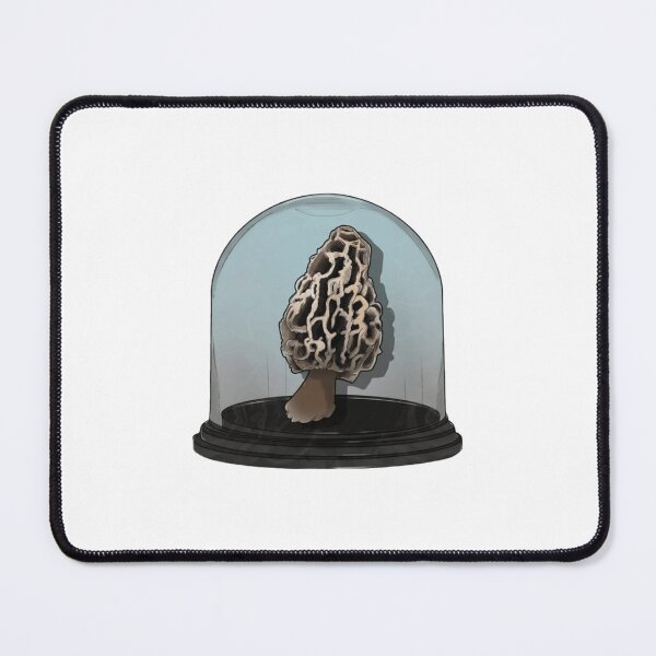 Item preview, Morel Mushroom Specimen in Glass Dome designed and sold by CurioBotanical.