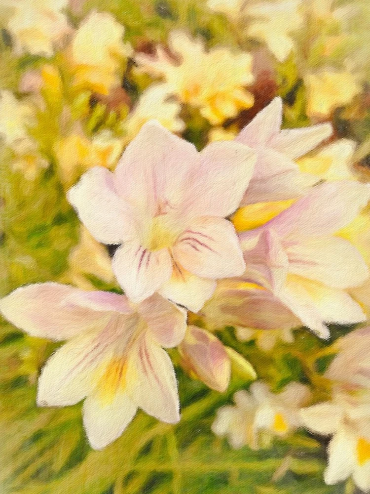 Thumbnail 4 of 4, iPhone Case, Early Springtime Freesias designed and sold by Rasendyll.