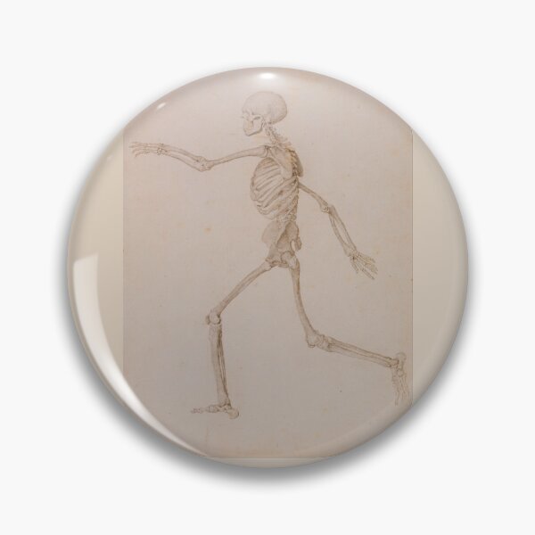 Item preview, Human Skeleton (side view) by George Stubbs designed and sold by Amanda1775.
