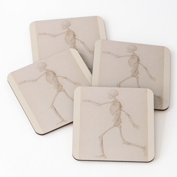 Item preview, Human Skeleton (side view) by George Stubbs designed and sold by Amanda1775.