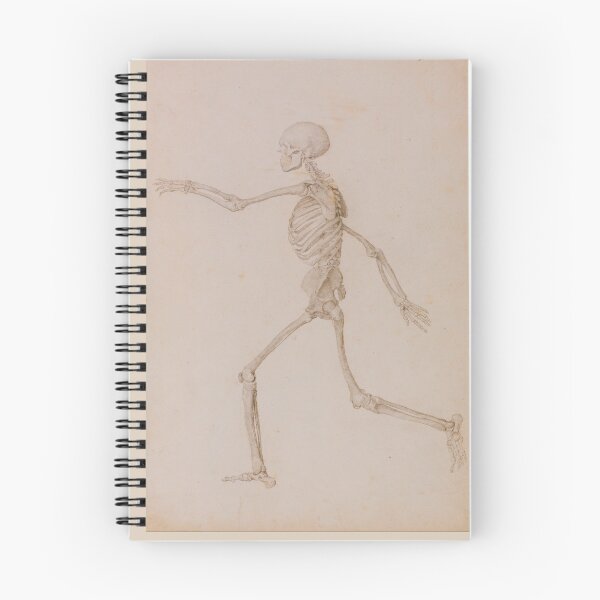 Item preview, Human Skeleton (side view) by George Stubbs designed and sold by Amanda1775.