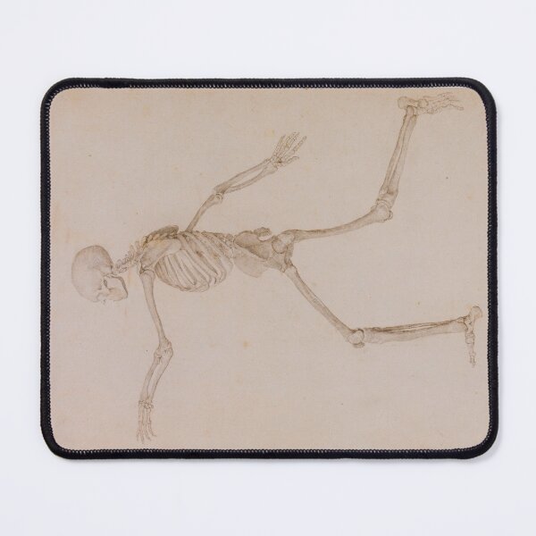 Item preview, Human Skeleton (side view) by George Stubbs designed and sold by Amanda1775.