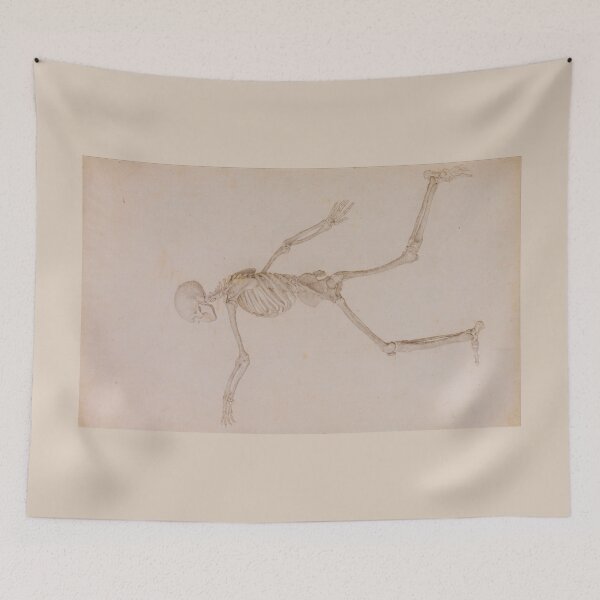 Item preview, Human Skeleton (side view) by George Stubbs designed and sold by Amanda1775.