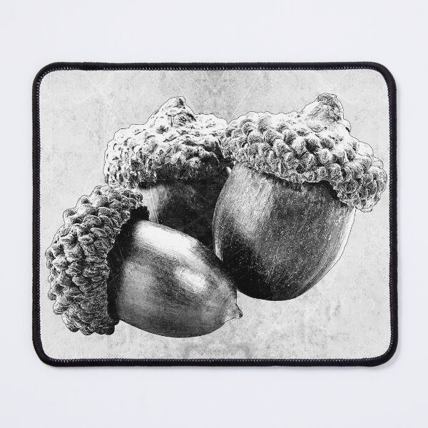 Item preview, Cluster of Three Dried Acorns designed and sold by Ghoul Enterprises.