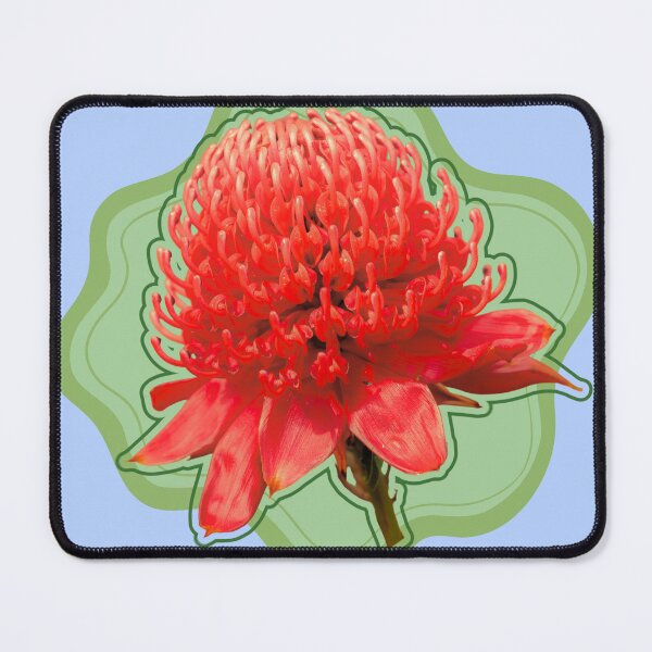Item preview, Waratah designed and sold by GeoGoose.