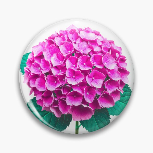 Item preview, Pink Hydrangea designed and sold by ANVivid.