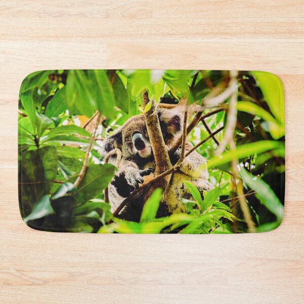 Item preview, Sleeping Koala Bear Eucalyptus Tree Australian Wildlife Photography designed and sold by AuraInkSC.
