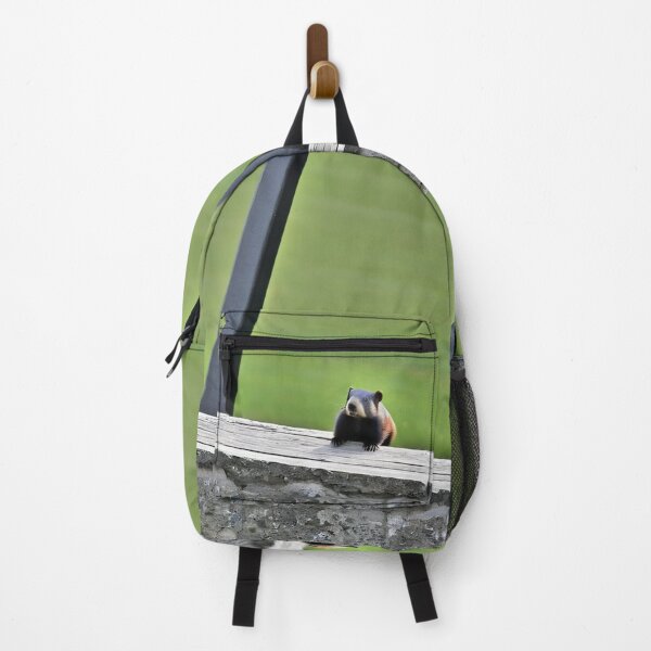Item preview, Animals - Rocky Mountain Marmot, Naturalist Mountain Portrait designed and sold by World-Pets.