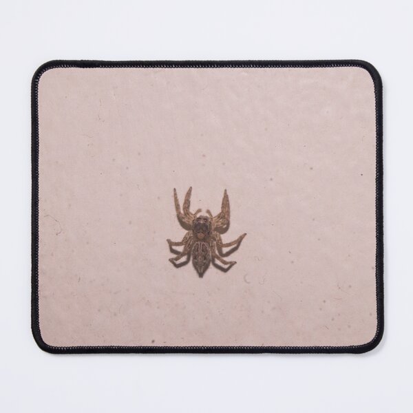 Item preview, adult female Pantropical Jumping Spider designed and sold by ROSE ANN BANILAR.