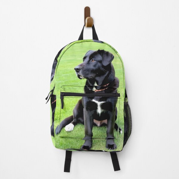 Item preview, Animals - Black Labrador, Majestic Portrait on Vibrant Grass designed and sold by World-Pets.