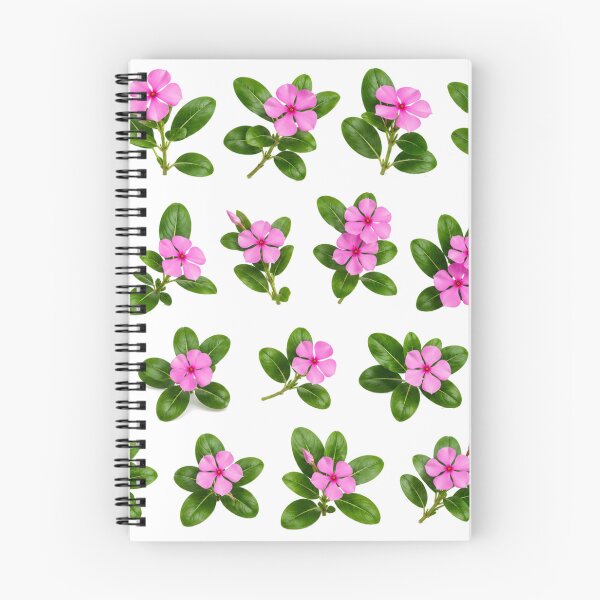 Item preview, Pink Periwinkle Flower Botanical Set Sadabahar Floral Aesthetic designed and sold by Rehnair.