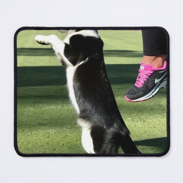 Item preview, Animals - Dog and Owner, Sporty Complicity with Sneakers designed and sold by World-Pets.