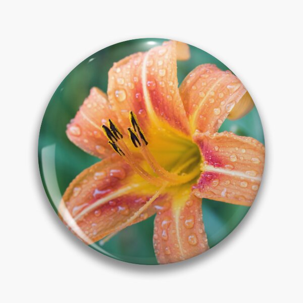 Item preview, Raindrops on Orange Daylily Bloom designed and sold by Georgia Mizuleva.