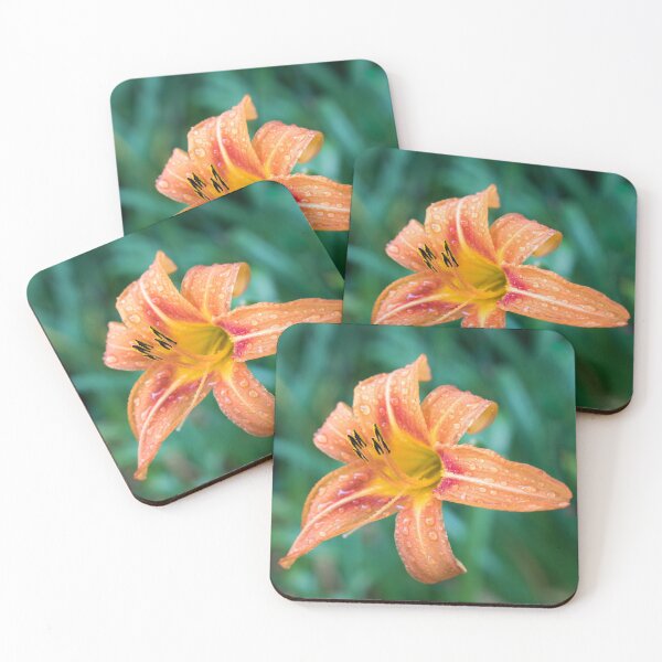 Item preview, Raindrops on Orange Daylily Bloom designed and sold by Georgia Mizuleva.