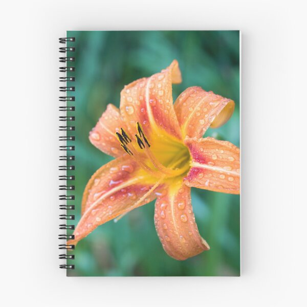 Item preview, Raindrops on Orange Daylily Bloom designed and sold by Georgia Mizuleva.