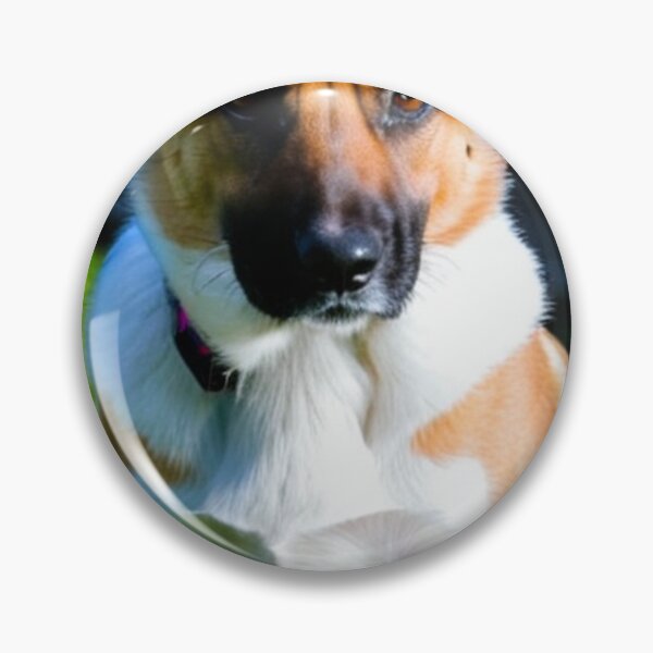 Item preview, Animals - Elegant Breed Dog, Alert Portrait designed and sold by World-Pets.