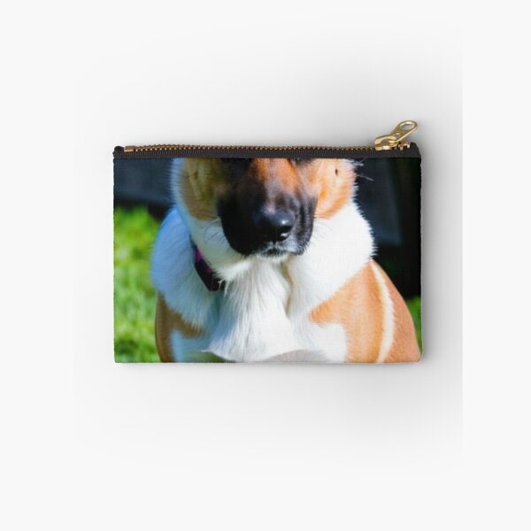 Item preview, Animals - Elegant Breed Dog, Alert Portrait designed and sold by World-Pets.