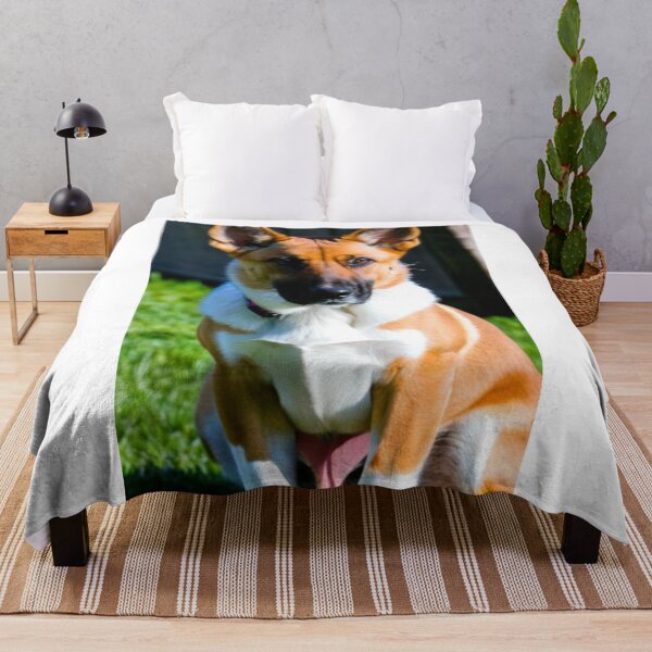 Item preview, Animals - Elegant Breed Dog, Alert Portrait designed and sold by World-Pets.