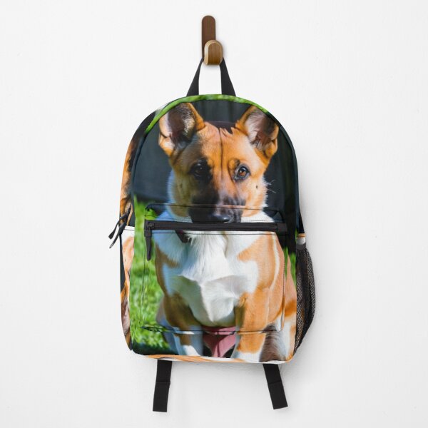 Item preview, Animals - Elegant Breed Dog, Alert Portrait designed and sold by World-Pets.