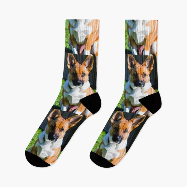 Item preview, Animals - Elegant Breed Dog, Alert Portrait designed and sold by World-Pets.