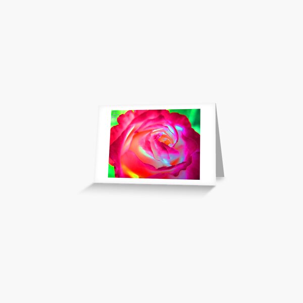 Rose 1 Greeting Card