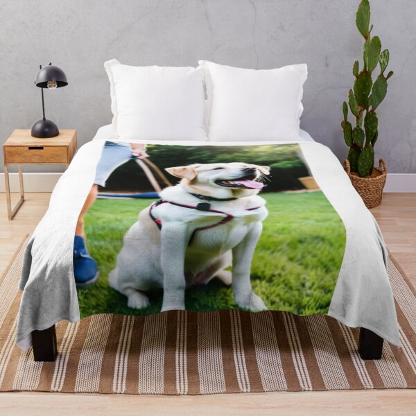 Item preview, Animals - Family Dog, Harmonious Domestic Scene designed and sold by World-Pets.