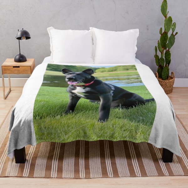 Item preview, Animals - Happy Dog, Elegant and Playful in Nature designed and sold by World-Pets.