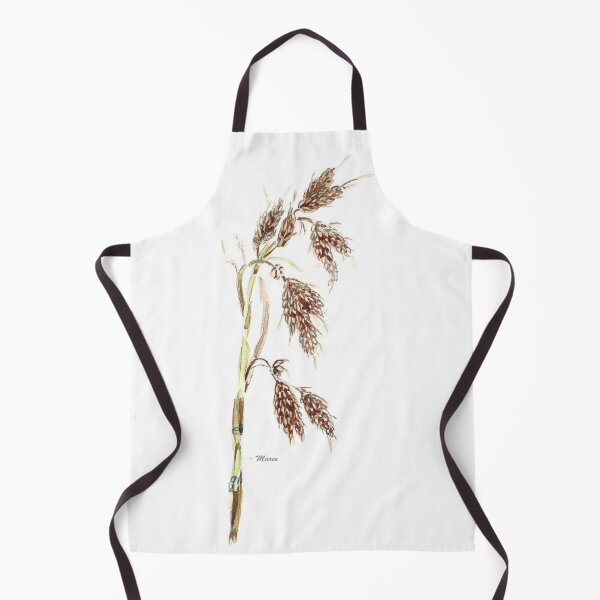 Item preview, Thamnochortus insignis – Botanical illustration designed and sold by Maree Clarkson .