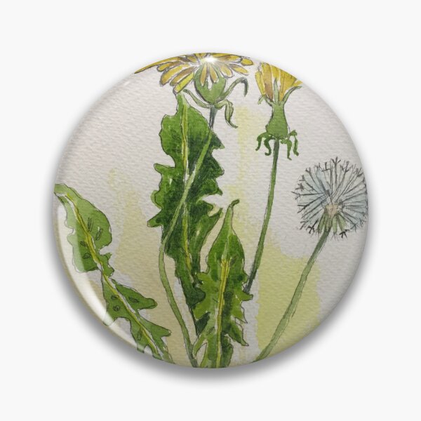Artikelvorschau, Botanische Illustration des Löwenzahns – Taraxacum officionale entworfen und verkauft von Maree Clarkson .