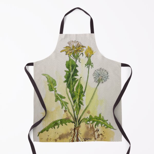 Artikelvorschau, Botanische Illustration des Löwenzahns – Taraxacum officionale entworfen und verkauft von Maree Clarkson .