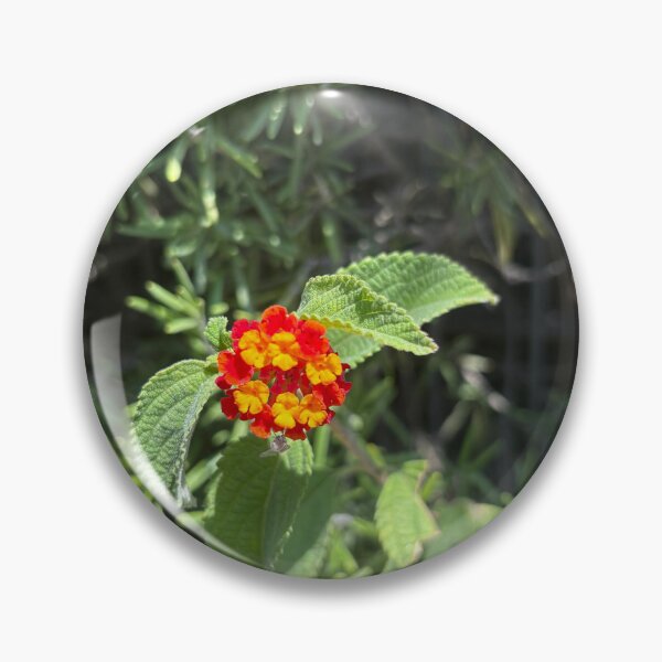 Item preview, Floweys designed and sold by 55synonyms.