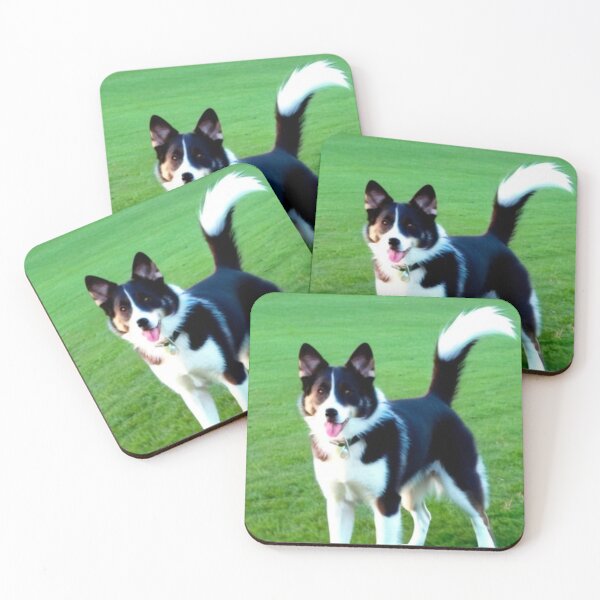 Item preview, Animals - Mixed Breed Dog, Playful on Green Grass designed and sold by World-Pets.