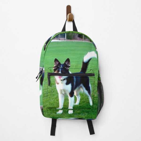 Item preview, Animals - Mixed Breed Dog, Playful on Green Grass designed and sold by World-Pets.