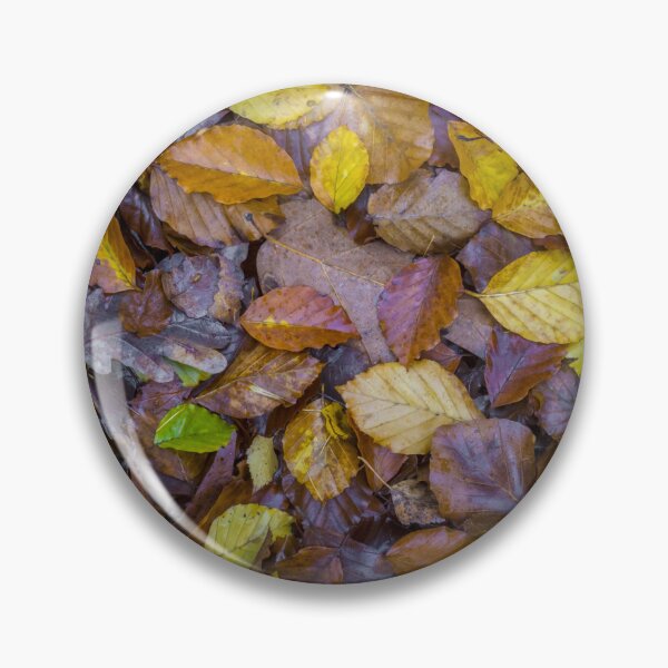 Item preview, Directly above shot of mixed autumn leaves with yellow, brown and green colors on the forest soil designed and sold by kristofbellens.