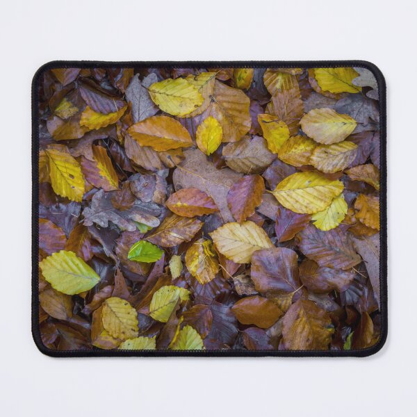 Item preview, Directly above shot of mixed autumn leaves with yellow, brown and green colors on the forest soil designed and sold by kristofbellens.