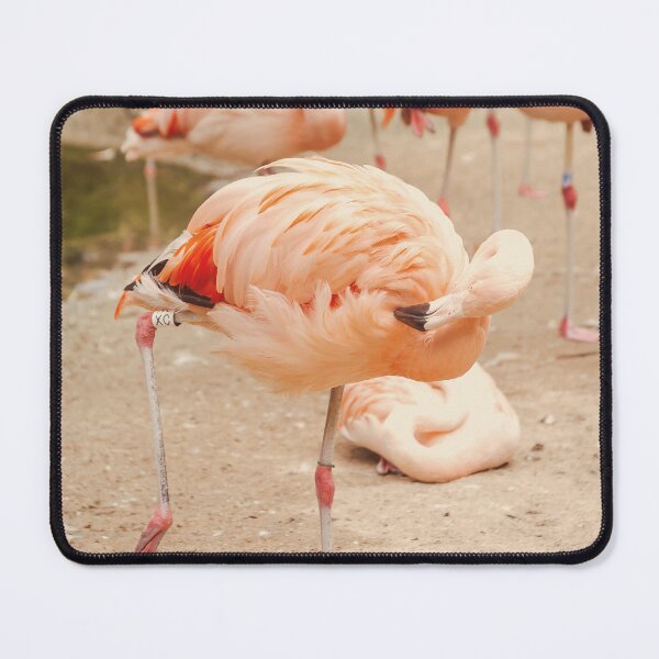 Item preview, Dancing Flamingo designed and sold by Debra Cox.