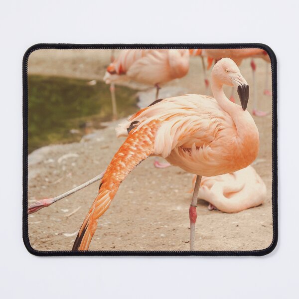 Item preview, Elegant Flamingo designed and sold by Debra Cox.