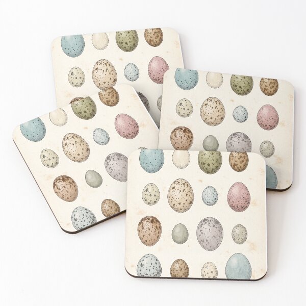Item preview, Vintage Bird Egg Specimen Plate Ornithology Art designed and sold by Fakhim95.