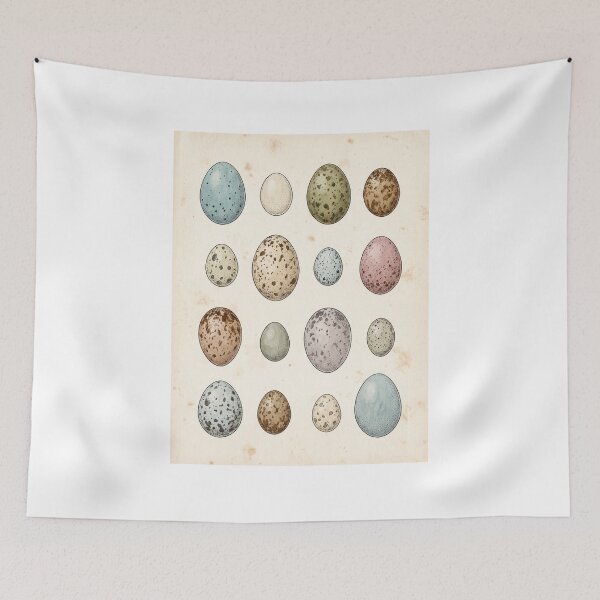 Item preview, Vintage Bird Egg Specimen Plate Ornithology Art designed and sold by Fakhim95.
