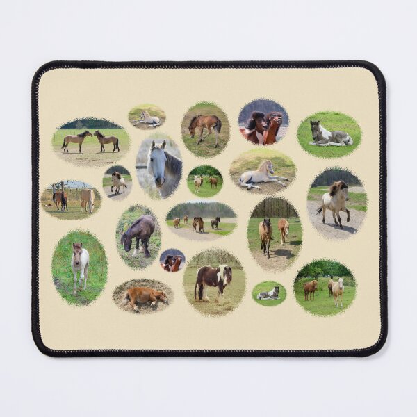 Item preview, Pony and Horse Paradise Photo Collage designed and sold by MarionsArt.