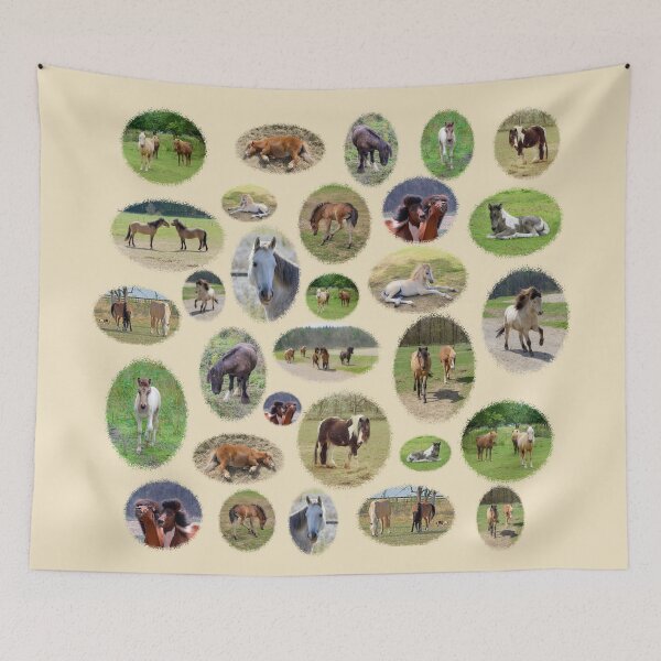 Item preview, Pony and Horse Paradise Photo Collage designed and sold by MarionsArt.