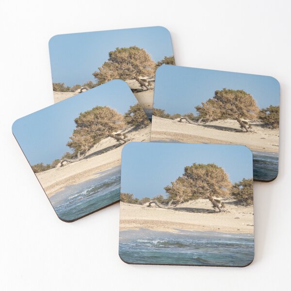Item preview, Libyan Cedar, Chrysi Island, Crete designed and sold by Kasia Design.