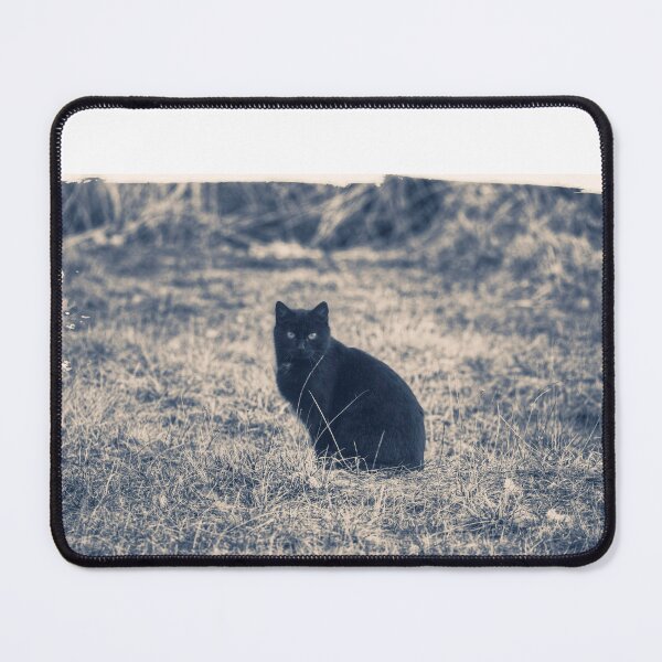 Item preview, A must-have for cat lovers! A unique, classic vintage black cat design. designed and sold by KANAH FORYED.